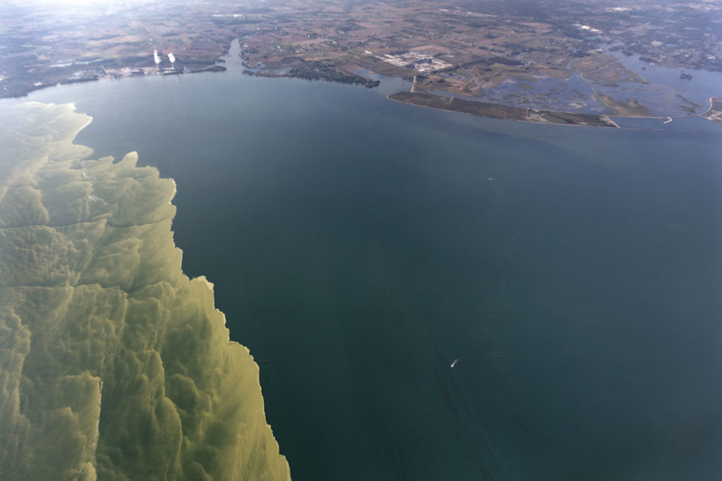 Harmful Algal Blooms Lake Erie Great Lakes Business Network