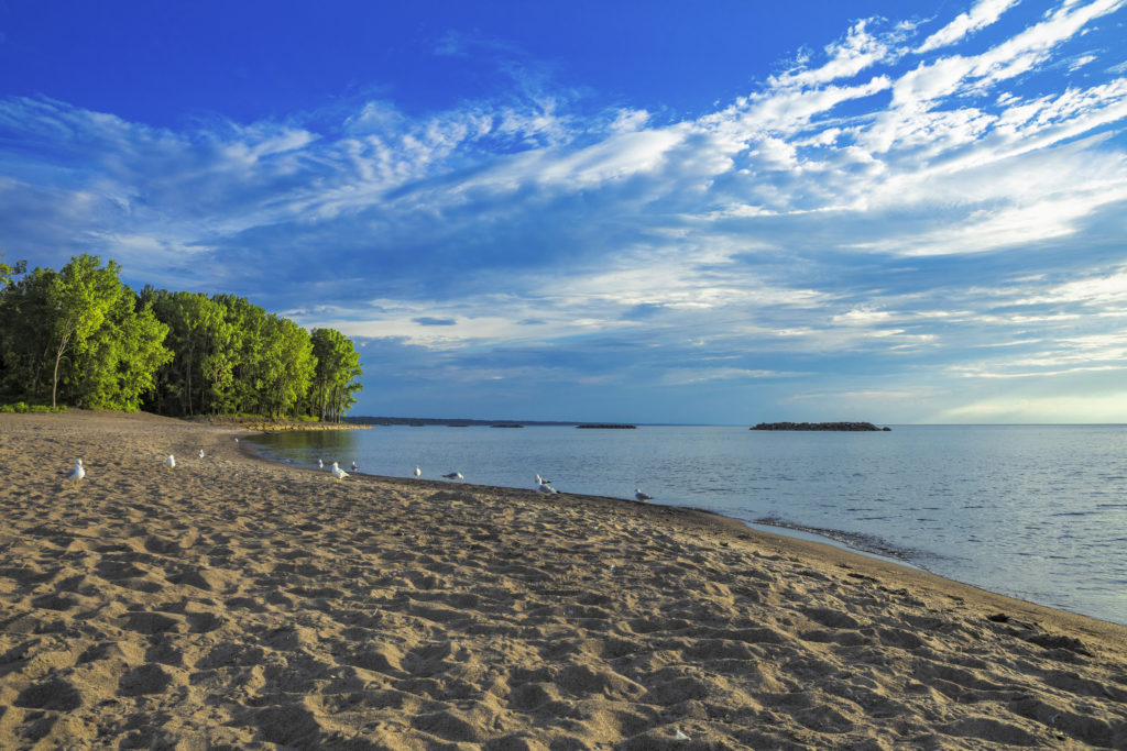 Lake Erie Shore - Great Lakes Business Network