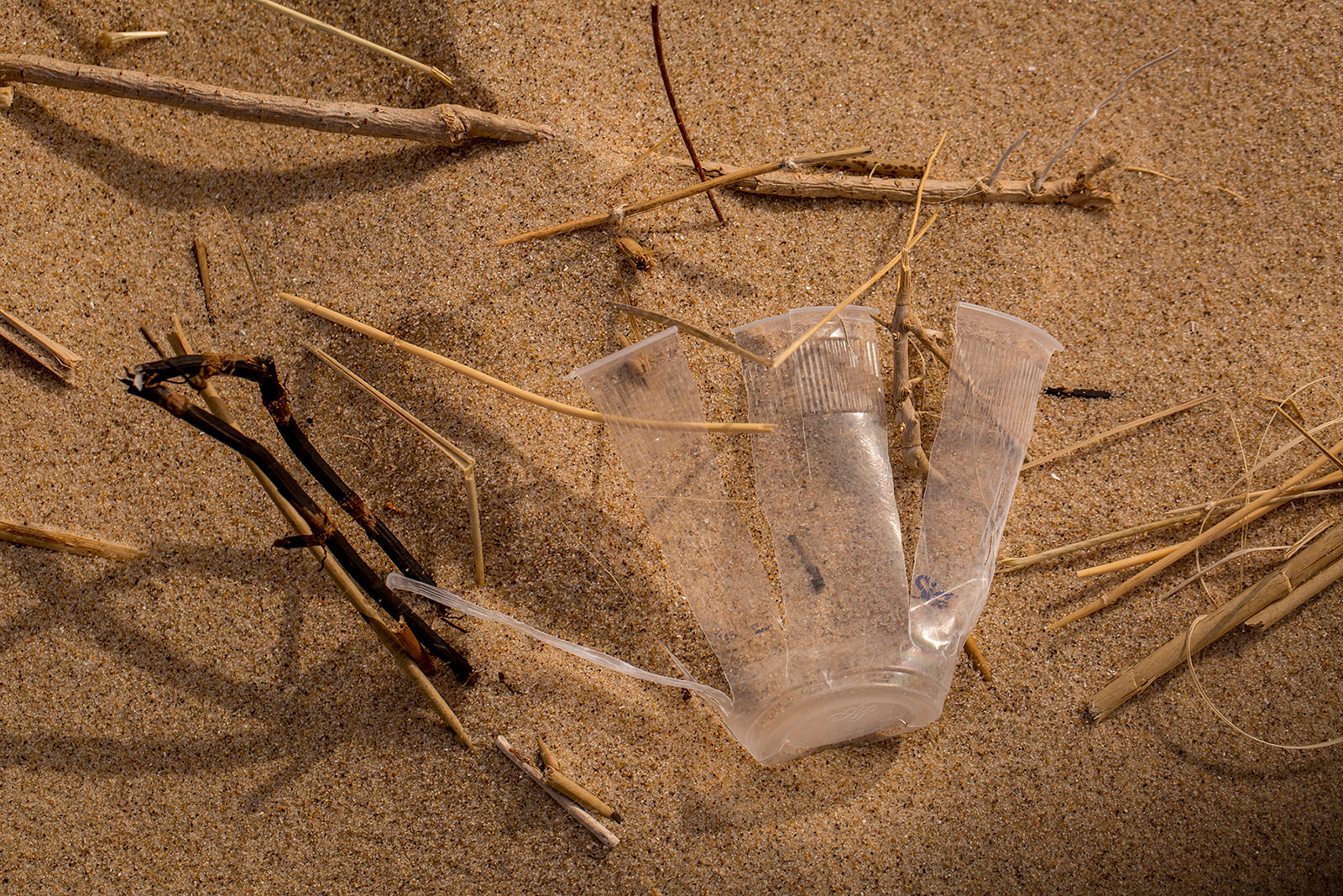 plastic cup on beach
